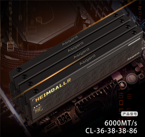 阿斯加特首款国产DDR5内存发布:32GB 6000CL36要价559元