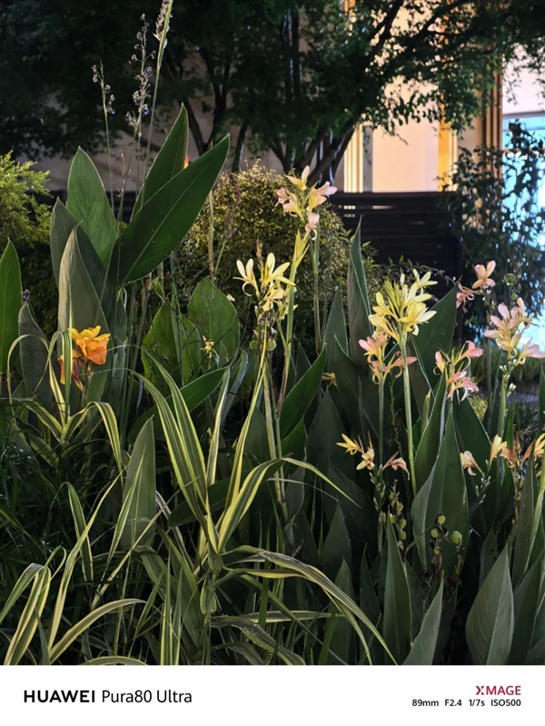 敢卖到一万块的华为超大杯 影像到底能不能打