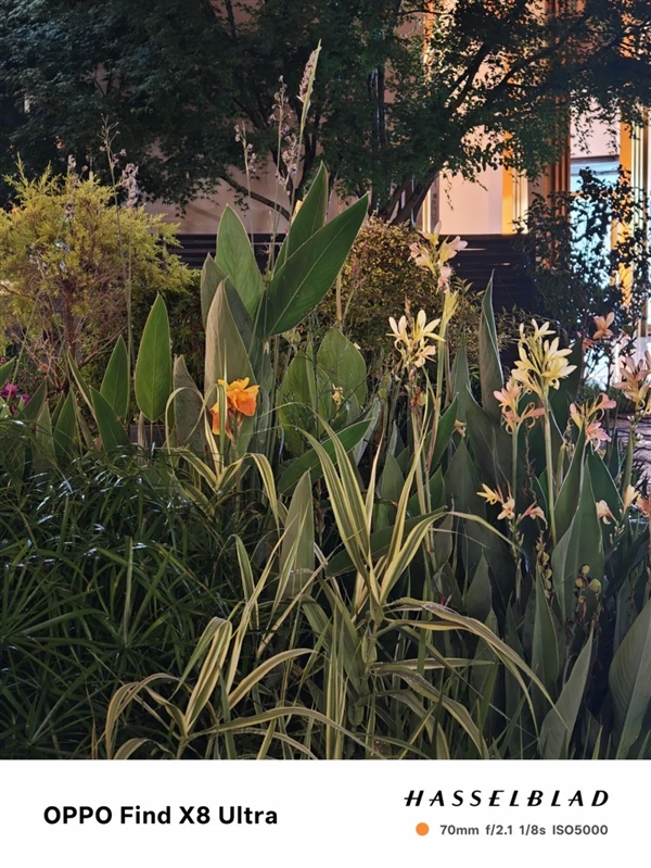 敢卖到一万块的华为超大杯 影像到底能不能打