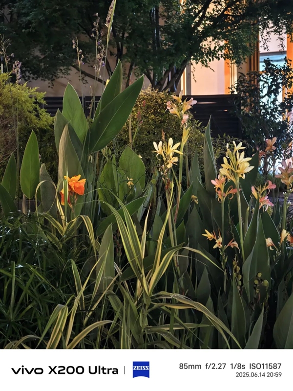 敢卖到一万块的华为超大杯 影像到底能不能打